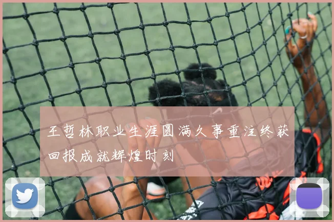 王哲林职业生涯圆满久事重注终获回报成就辉煌时刻
