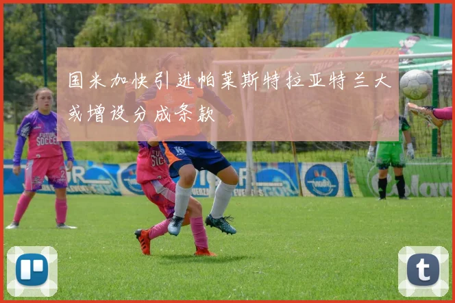 国米加快引进帕莱斯特拉亚特兰大或增设分成条款