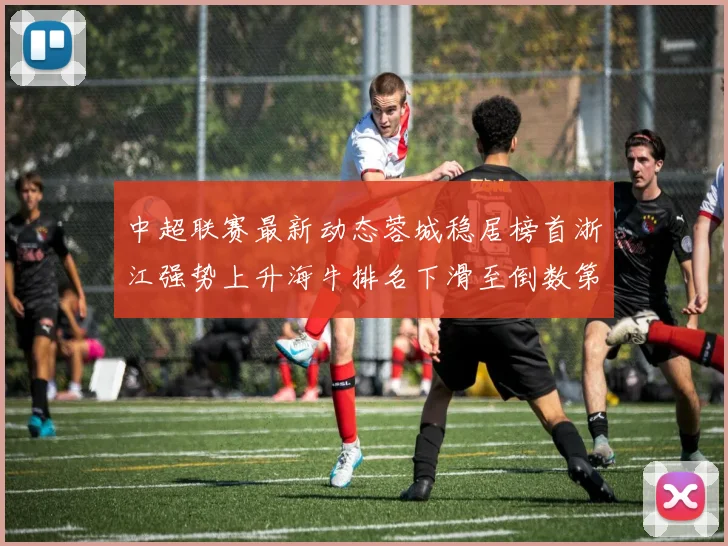 中超联赛最新动态蓉城稳居榜首浙江强势上升海牛排名下滑至倒数第三